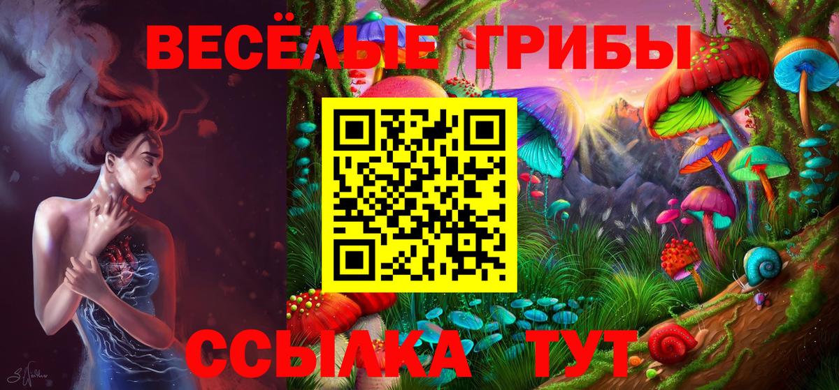 Псилоцибиновые грибы Cubensis Хабаровск